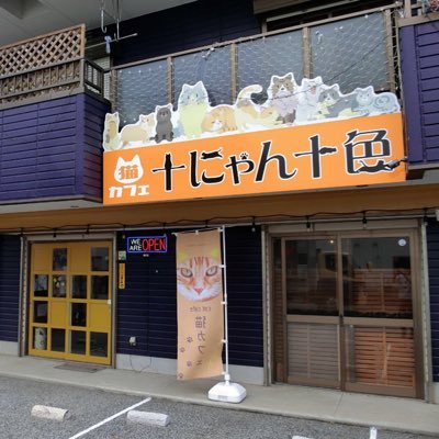 千葉県習志野市の猫カフェ十にゃん十色 おうちのリビングの様な空間で懐っこい猫さん達とお友達になって下さい お子様連れOK 第一種動物取扱業展示20-習健福681-1 末日R12.5/25 葉月文偉