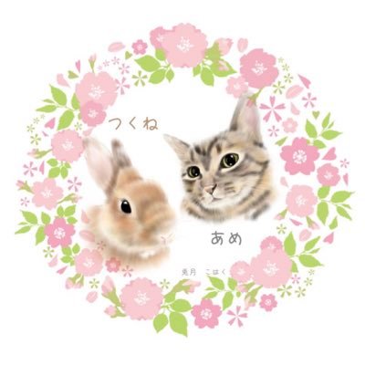 つくちゃん（つくね)🐰2014.12.12🏠2022.5.21虹の橋へ🌈 保護猫ちゃんのあめちゃん😽2015.11.13🏠愛する可愛い娘達です❤あめちゃんは事情あって下の娘夫婦の猫ちゃんと一緒にいます😺アイコン&ヘッダーはこはくさん💕ツイッター開始日2016年11月12日👍