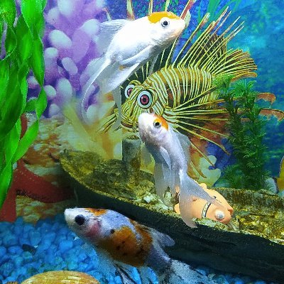 Ramu80952418's profile picture. I am addict of knowledge