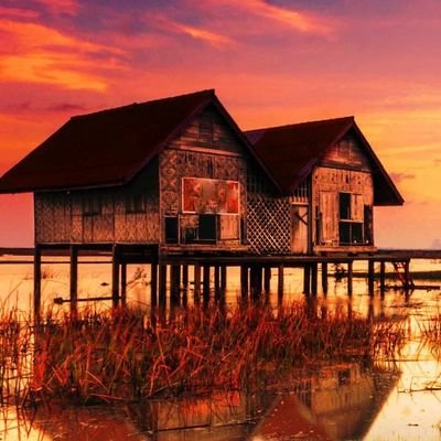 ferm_sy's profile picture. 