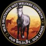 gr8danez3's profile picture. A passionate advocate for animals, networking with numerous animal rescue organizations, advocate for horses, nature lover, tree hugger.
