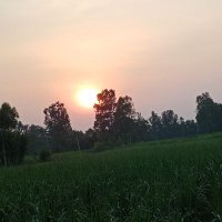Shalu (@shalu_jnv) 's Twitter Profile Photo Shalu (@shalu_jnv) 's Twitter Profile Photo