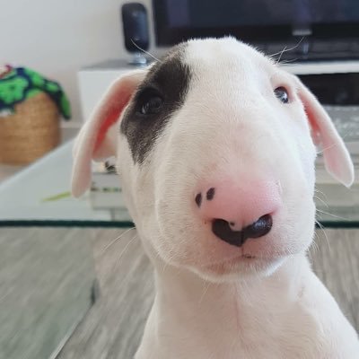 Kedsadaporn7's profile picture. 