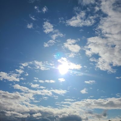 IKURA5_0T's profile picture. やるか