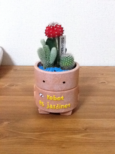 ayashikadane's profile picture. 高校生と中学生の息子らの父。BiSHはFMフジで聞いたstereo future新規。豆柴の大群。ミームトーキョー。