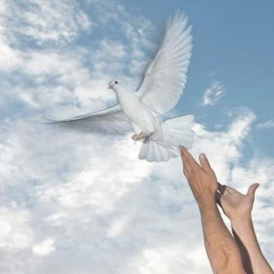 raymondcarl127's profile picture. 