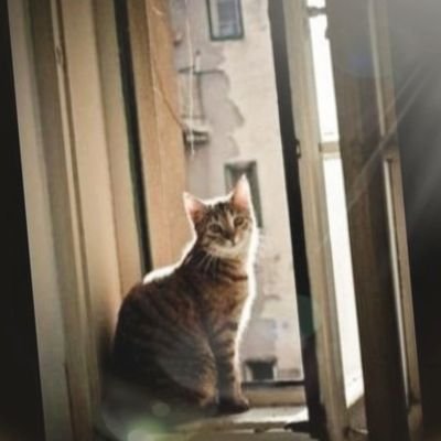 ruh_sanat's profile picture. Sanat & Ruh