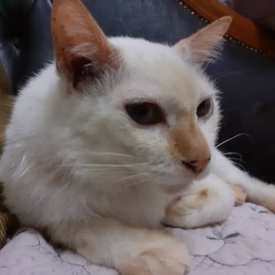 MIMY2109's profile picture. nothing