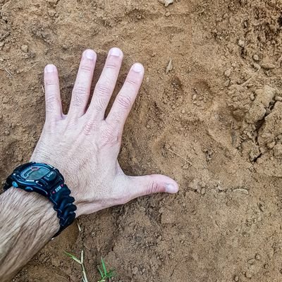 danieltventer's profile picture. Completing Adv. Dip. Nature Conservation at Nelson Mandela University George Campus.