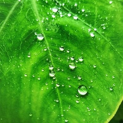 thejaswinikula3's profile picture. Real Indian.
proud to be indian. 🇮🇳🇮🇳