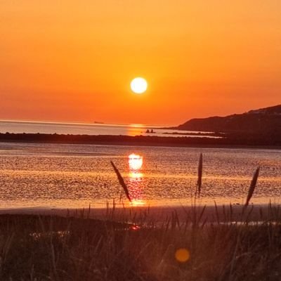 P19sko's profile picture. CTO - Athena Cyber Security