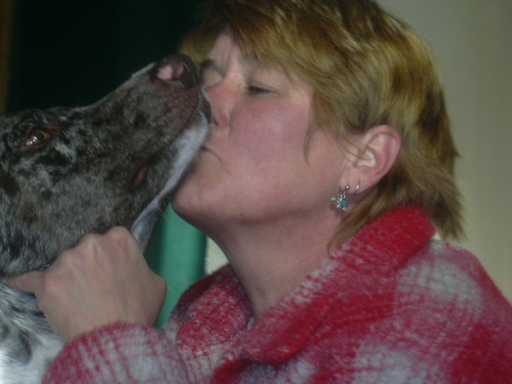 heidiglyph's profile picture. 