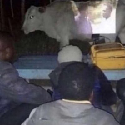 tomberlolt's profile picture. grinding for @fazeclan