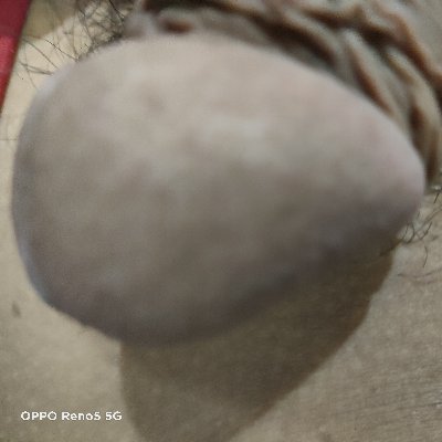 Swing50063750's profile picture. ชอบ...hee