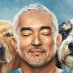 Cesar Millan (@cesarmillan) Twitter profile photo