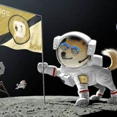 Really Dogecoin 🙌💎🚀