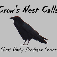 Crow's Nest Calls (@crowsnestcalls) 's Twitter Profile