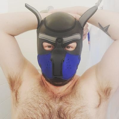18+! 
Welcome! I'm a vers/switch pup in Indianapolis. Looking to get myself into more pup play.