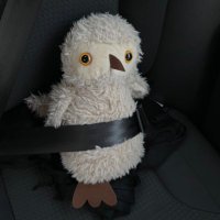 Sichen (@sichensliu) 's Twitter Profile
