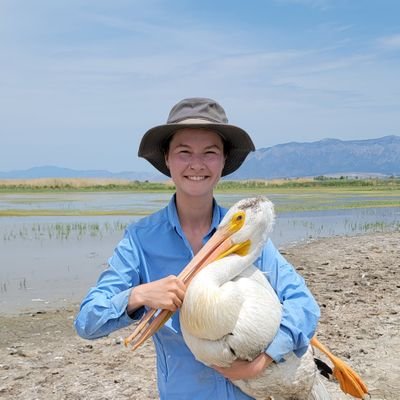 @USU_WILD PhD candidate w/ @LabRushing @efstuber | @utahpublicradio sci reporter 🎙️ | pelican mig-con/pop trends | #AWPE & #seabird nerd | foodie 🧀 | she/they