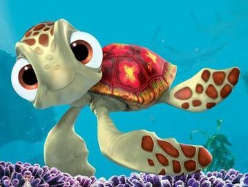 We like turtle stuff, dude!