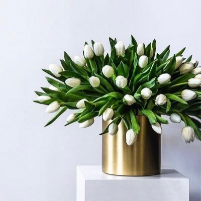 sara87267876's profile picture. 