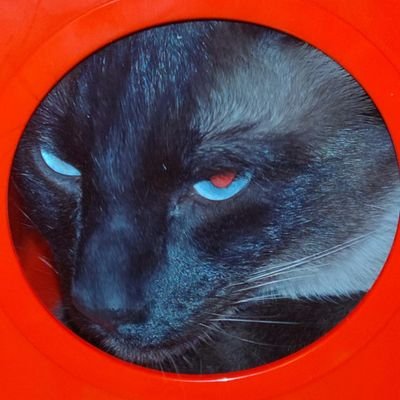 COIO1810's profile picture. 