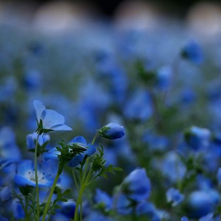 GLHxdiRWXT7SSKK's profile picture. ちょっとやり方がわからないけど
そろそろつぶやこうかなぁ