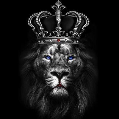 khaled_i8's profile picture. 