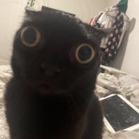Ectrexce (@ilovefireys) 's Twitter Profile