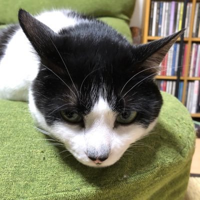 日本保守党に党員登録、党員番号134XXX。日本を豊かに、強く。この言葉がとても好きです。偏向報道がとにかく許せません。日本人である私たちを貶めることをする人たちは大嫌いです。