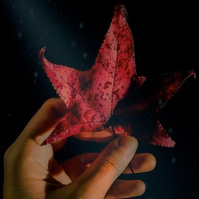 AnaLaura2002_'s profile picture. 