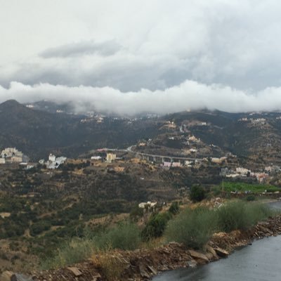 ابن فران Profile