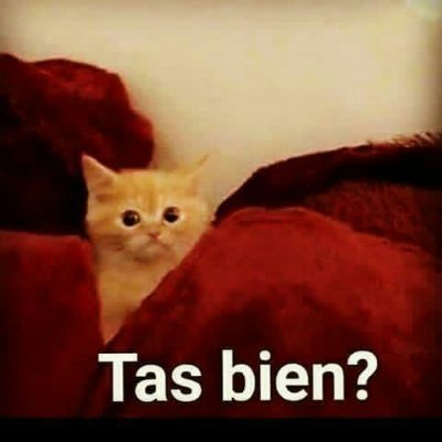 _BLOGTIME_'s profile picture. "Sueña, no cuesta nada"
