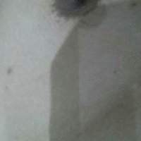 Gffjjhg (@gffjjhg3) 's Twitter Profile