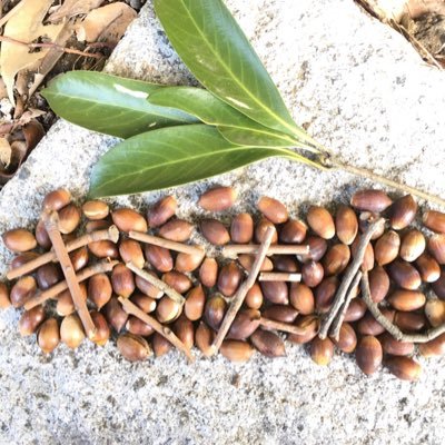 コロナに関する気になることをツイートしていきます。 もちろん、打ちませんし、皆さんも打たないことを切に願います。 Webサイトもリンクしました。(追伸)朝日が海に一直線ってことは海は平らだね。地球って本当に丸いの? 学校で教えられた常識という洗脳を疑ってみよう❗️