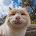 tuo4n8 (@tuo4n8) Twitter profile photo tuo4n8 (@tuo4n8) Twitter profile photo