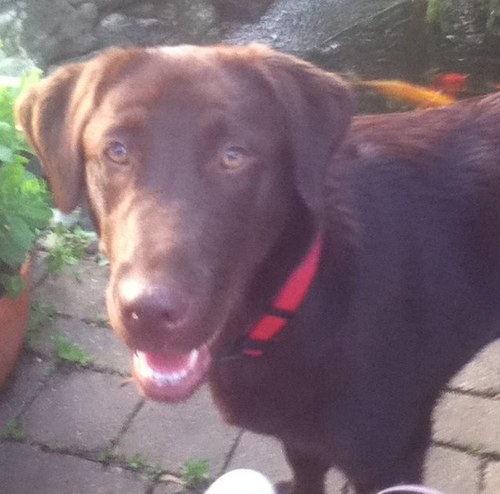 KeithersMc's profile picture. 