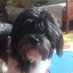 Agnieszka Wawro (@a_wawro) Twitter profile photo Agnieszka Wawro (@a_wawro) Twitter profile photo