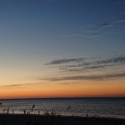 S7O8mG52iXLhf9N's profile picture. 