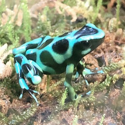 家族のため、友人のため、自分の心のゆとりのために自分をアップデートすることをここにゆるく誓いまする。10年前にWebクリエイター上級を取得。だけどhtml、cssカスタマイズ苦手。ペーパードライバーならぬ、ペーパークリエイターです。