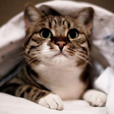 Wisiy052's profile picture. Things will be better