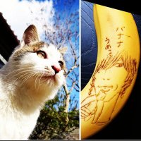 遊(ゅぅ) (@rururochi) 's Twitter Profile Photo
