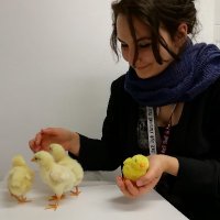 MariaLoconsole (@maria_loconsole) 's Twitter Profile