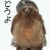 サムズミリタリ屋公式 (@osamsmilitaria) Twitter profile photo サムズミリタリ屋公式 (@osamsmilitaria) Twitter profile photo