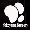 横山園芸公式Twitterです。 農場スタッフが日々の植物や作業の様子、商品紹介などをつぶやきます。 基本的に返信等はできませんのでご了承下さい。 お問い合わせはこちらまで→ https://t.co/PstEVtQz08 #クリスマスローズ #原種シクラメン #ダイヤモンドリリー