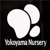 横山園芸 公式 (@yokoyamanursery) 's Twitter Profile