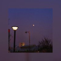 소나🌳 (@sona_sugar) 's Twitter Profile