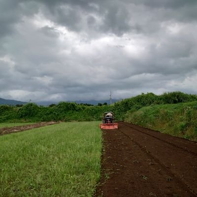 🌱旬な魅力溢れる野菜を通して、つぶやいてます/安心・安全&環境に配慮した栽培/宣伝・発信を通して幅広く知ってもらいたい/投稿頻度→気ままペース 👉️いいね&フォロー嬉しい
(リポストもご自由に🥰)
🗣️農家直送・新鮮な健康志向お野菜【この時期と在庫限り販売】ぜひこちらも👇
🔽