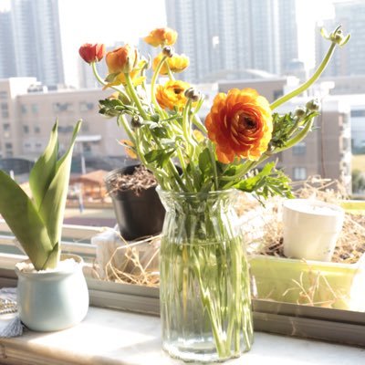 DoctorL2L's profile picture. 坐标杭州，90后夫妻